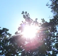 sonne.jpg