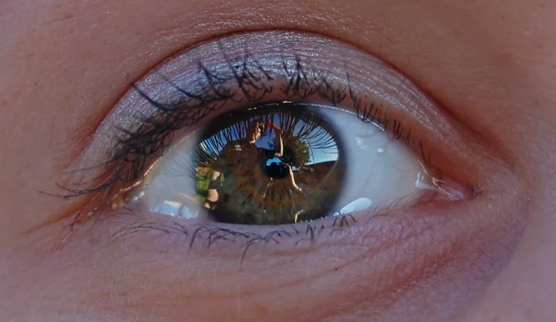 bond_auge1.jpg
