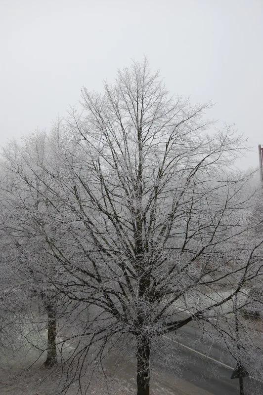 winter_2007.jpg