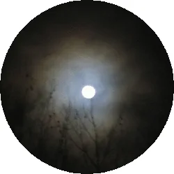 mond.gif
