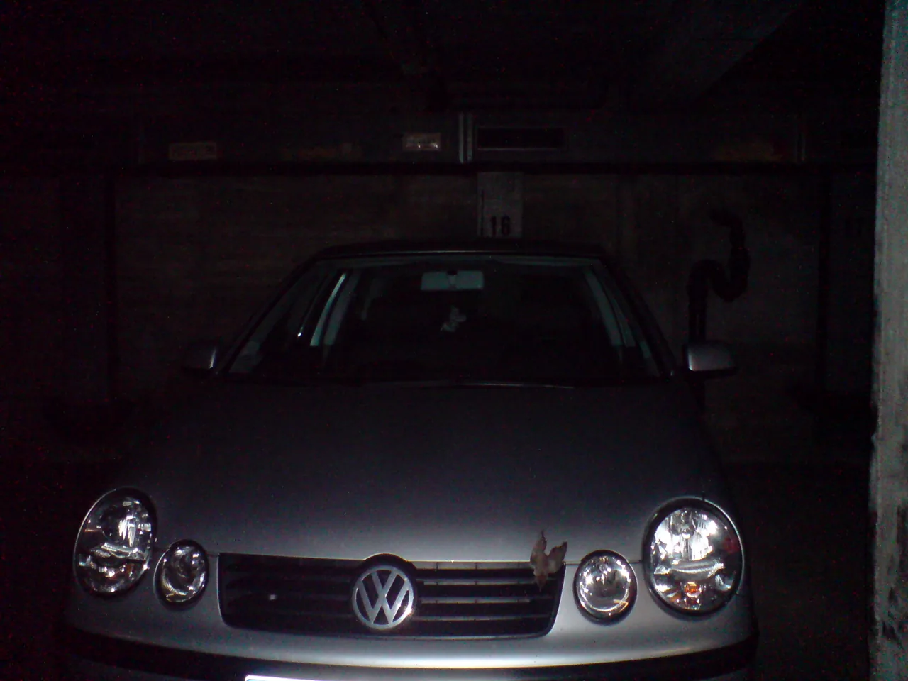 Vogel_am_Wagen.jpg.jpg